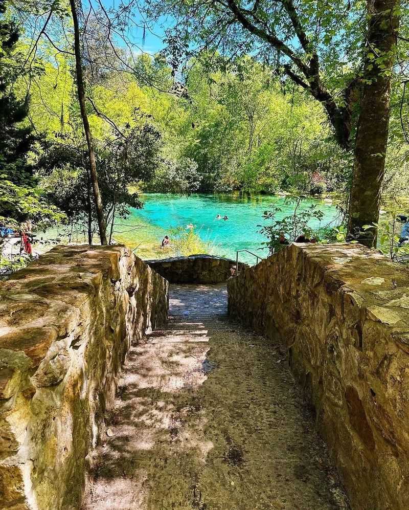 Ichetucknee Springs State Park (North Central Florida)