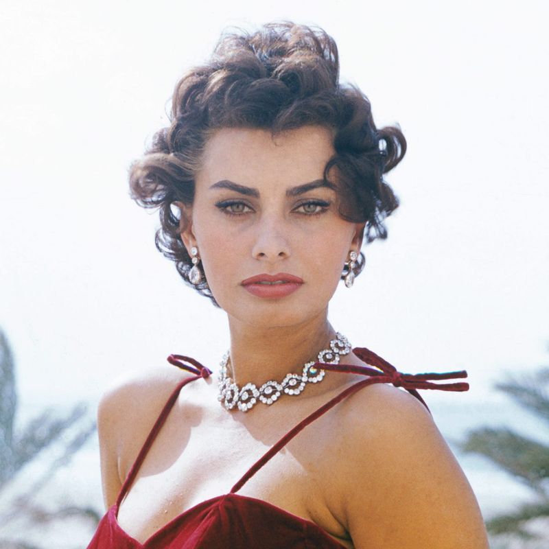 Sophia Loren