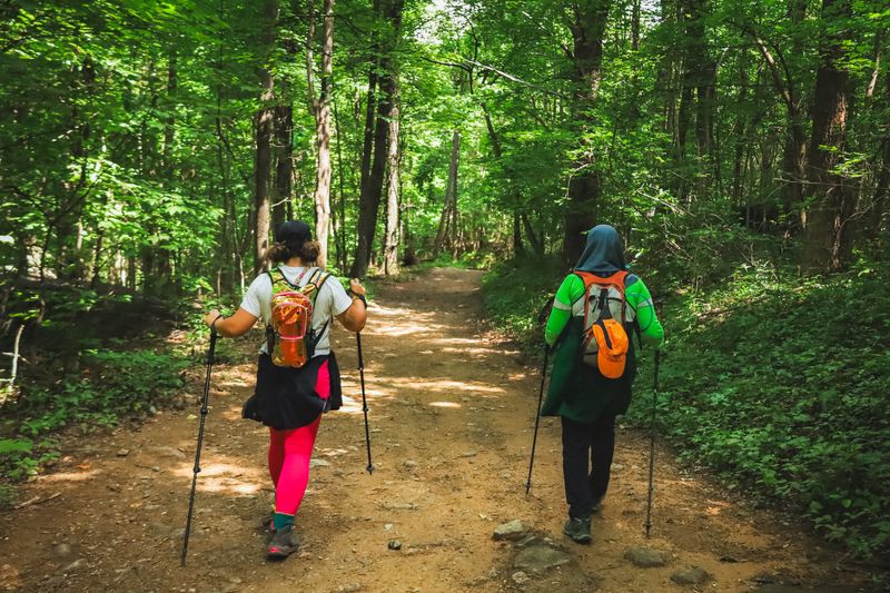 Hiking Local Trails