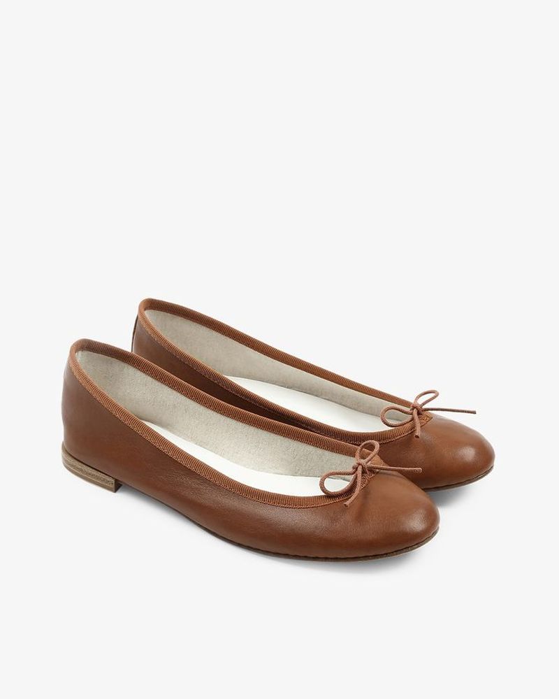 Repetto Cendrillon Ballet Flats
