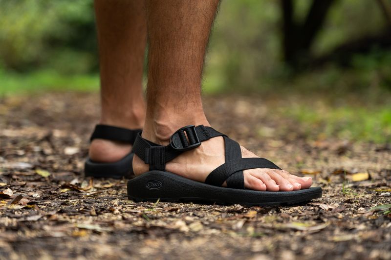 Chaco Z/Cloud Sandal