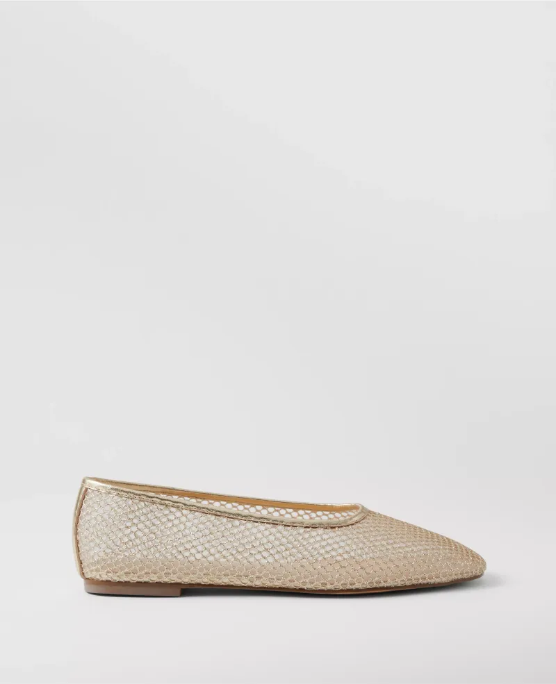 Ann Taylor Mesh Ballet Flats