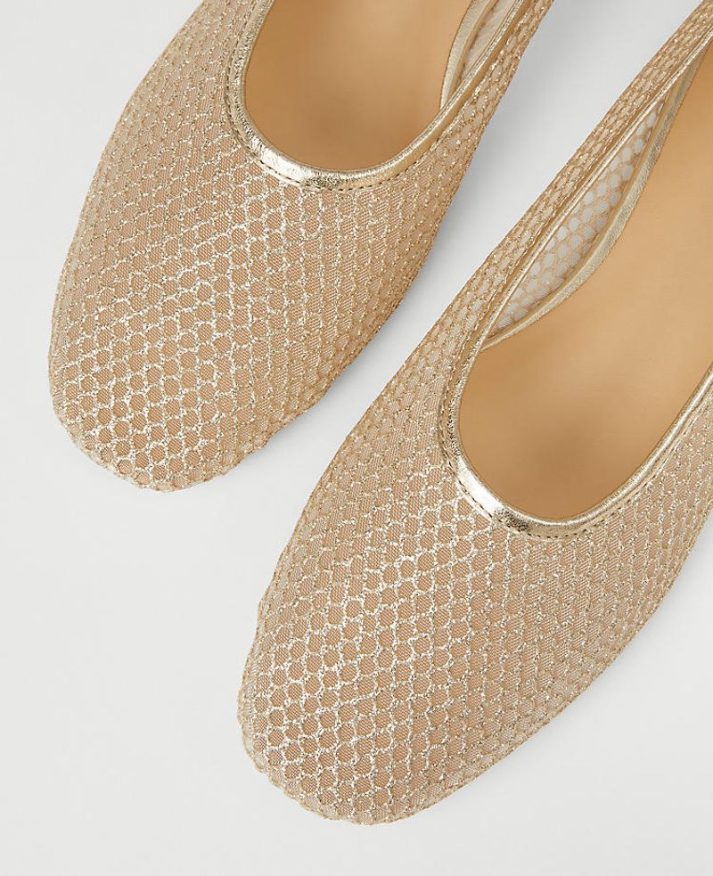 Ann Taylor Mesh Ballet Flats