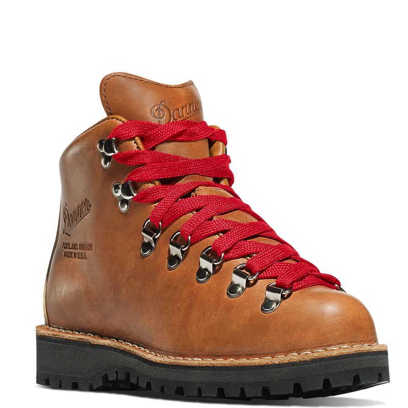 Danner Mountain Light Boot