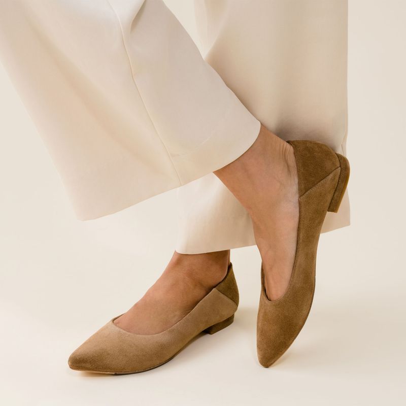 Pointed-Toe Flats or Heels