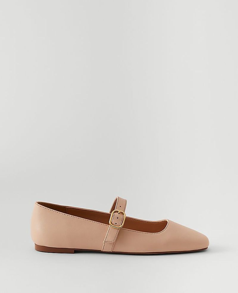 Ann Taylor Mary Jane Leather Ballet Flats
