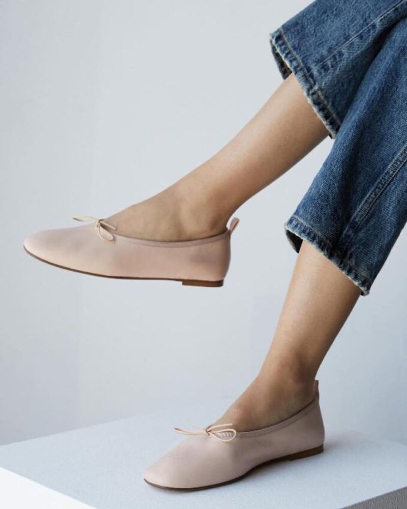 Everlane The Day Ballet Flat