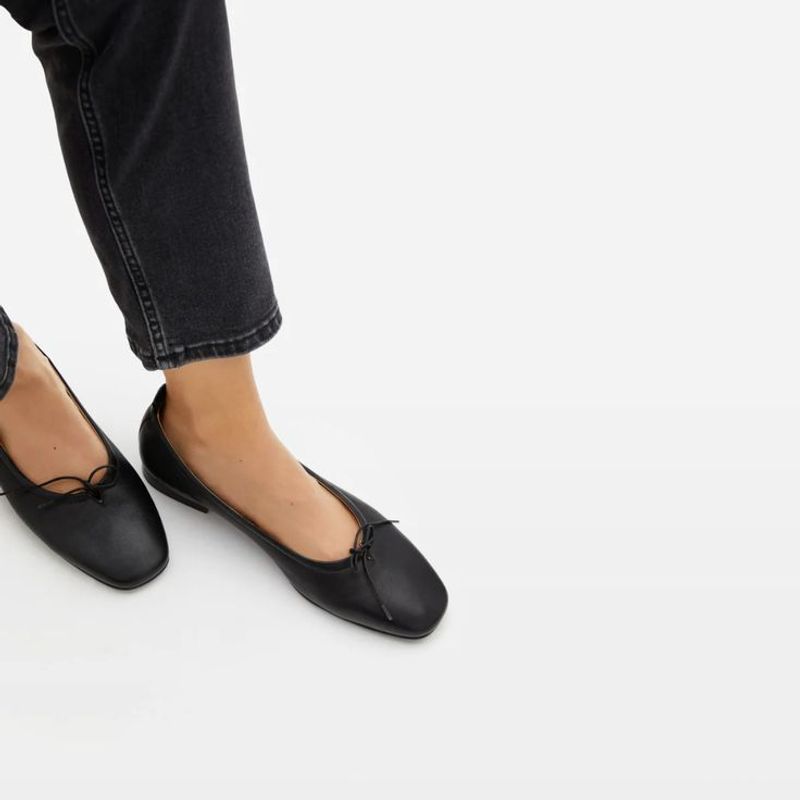 Everlane The Day Ballet Flat