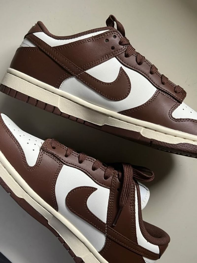 Nike Dunk Sneakers